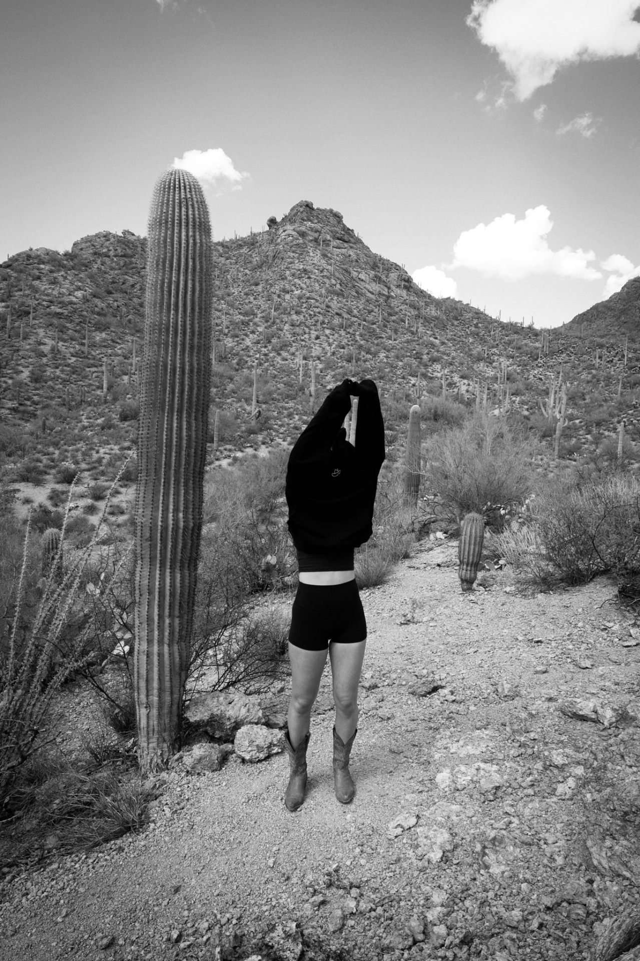 Saguaro — Rodeo